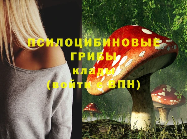 кристаллы Заводоуковск