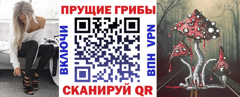 mega как зайти  наркошоп  Сибай  Псилоцибиновые грибы мицелий 